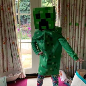 Minecraft costume